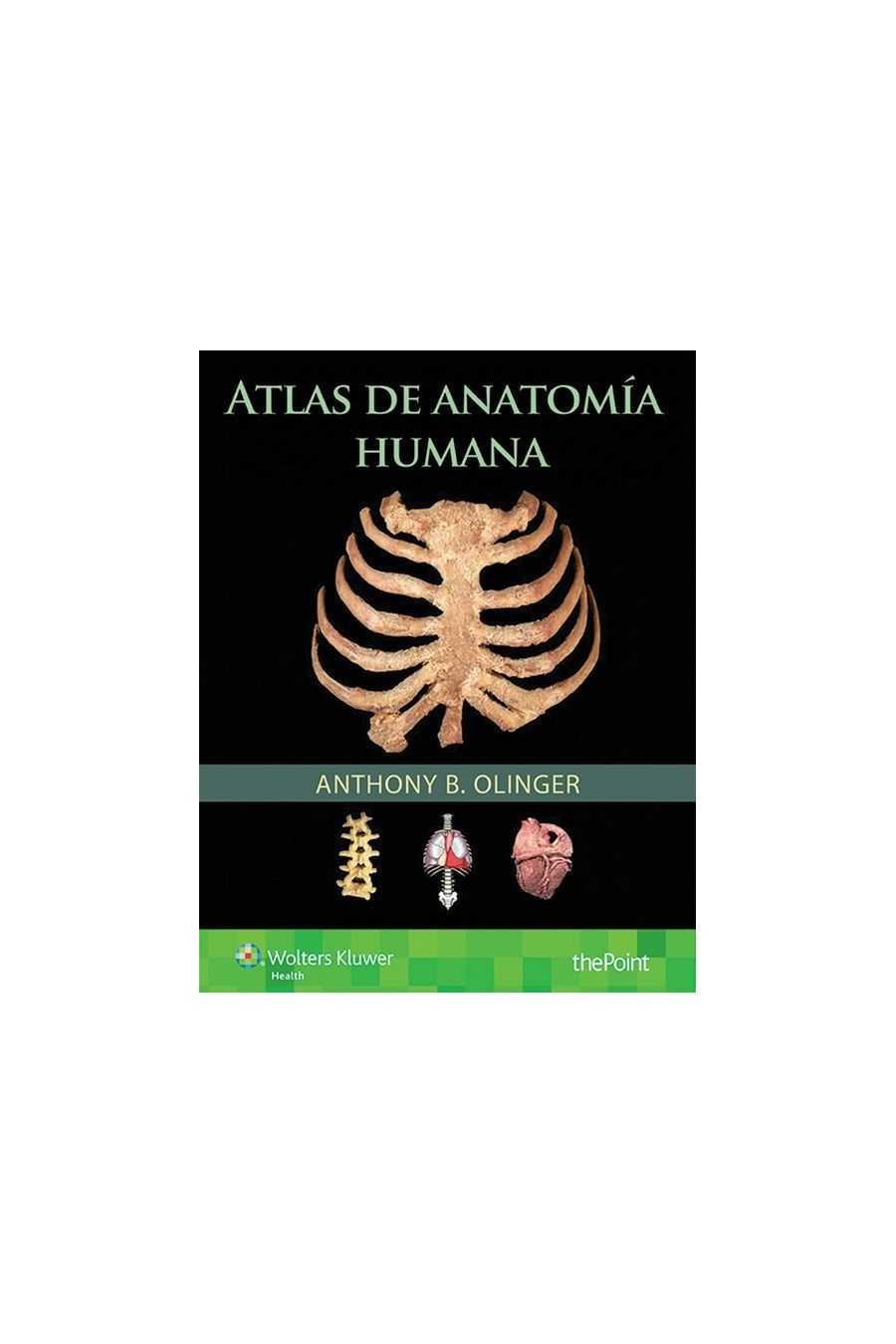 Atlas de Anatomía Humana. Olinger
