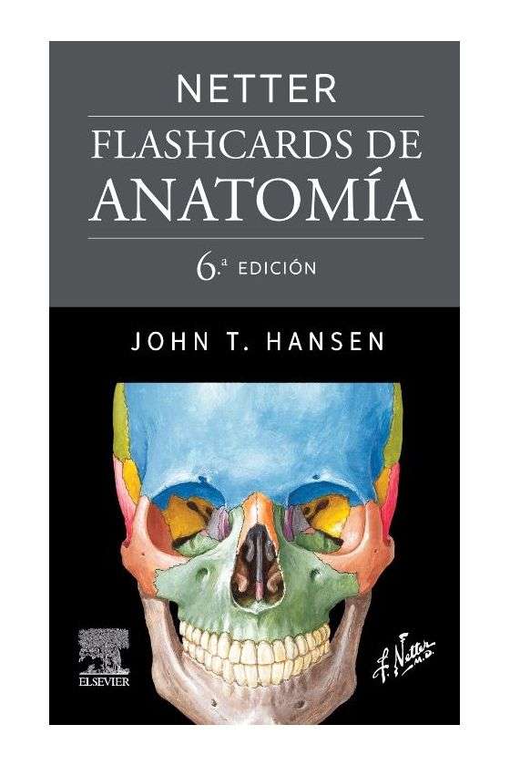 Flashcards de anatomia de...