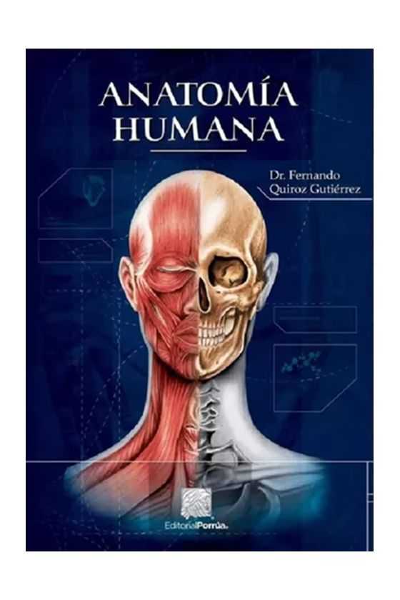 Anatomía Humana. 2024