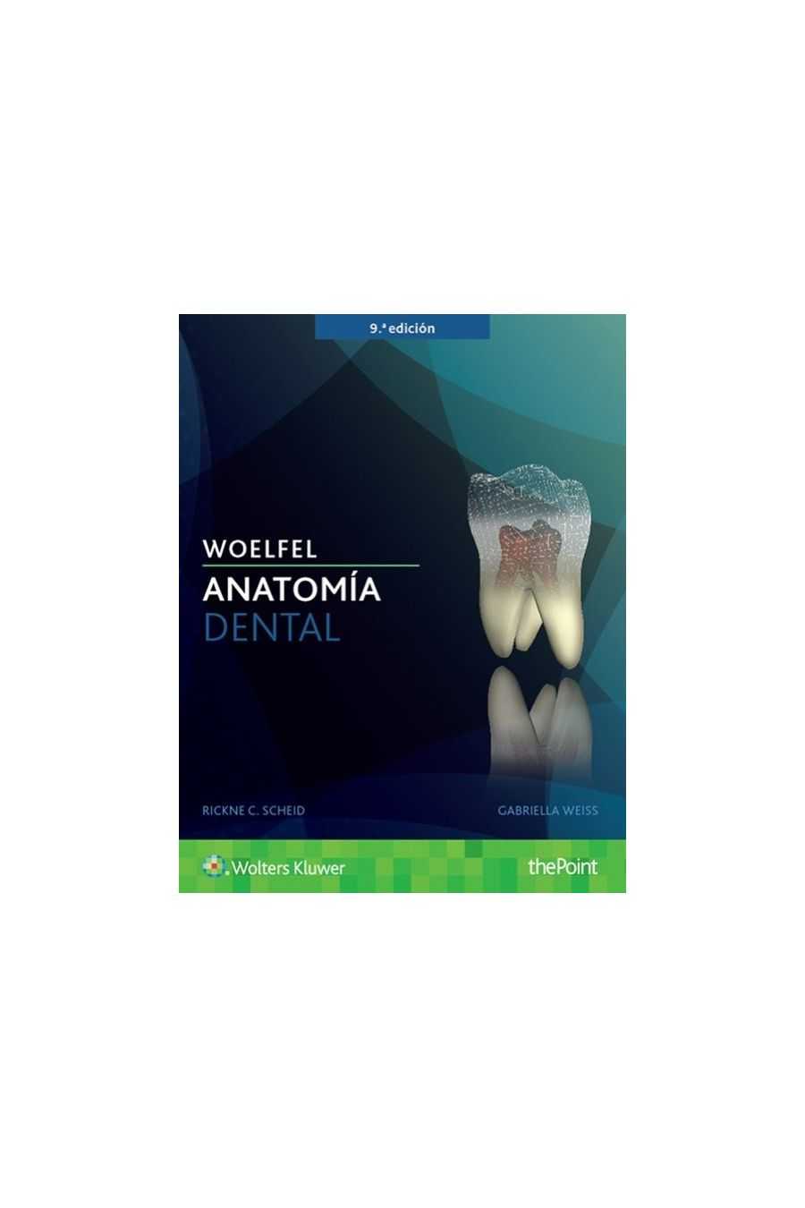 Anatomía Dental. Woelfel